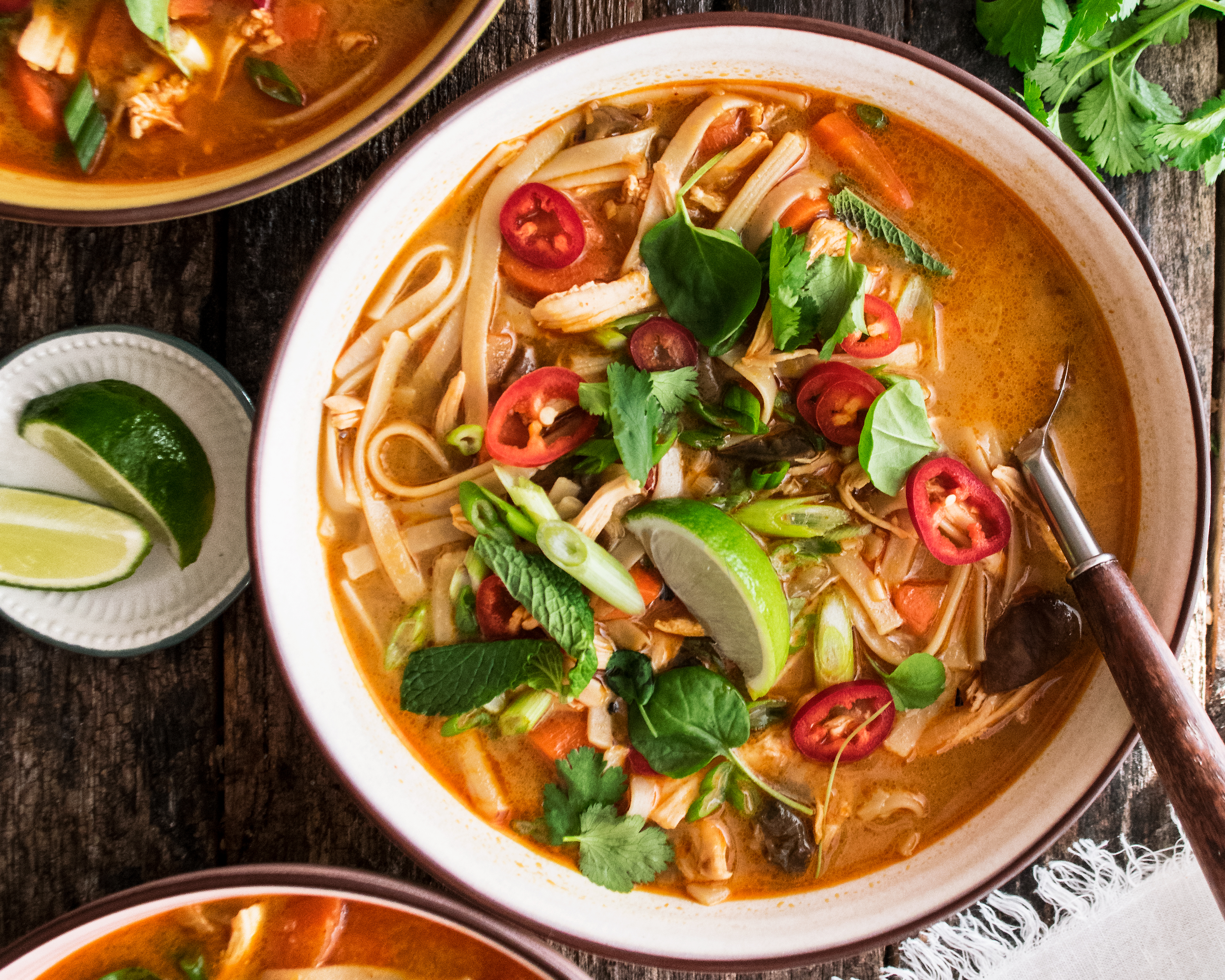 Spicy Thai Chicken & Rice Noodle Soup - The Original Dish